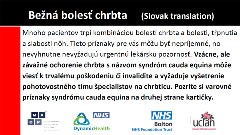 CES slovak CES slovak