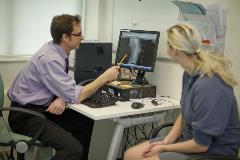 Patient and consultant looking at an x-ray